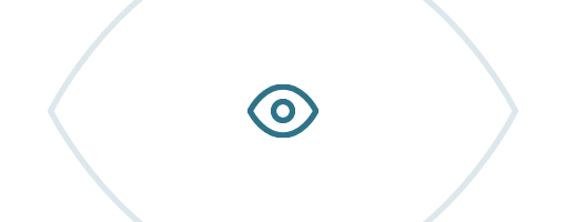 Vision Icon
