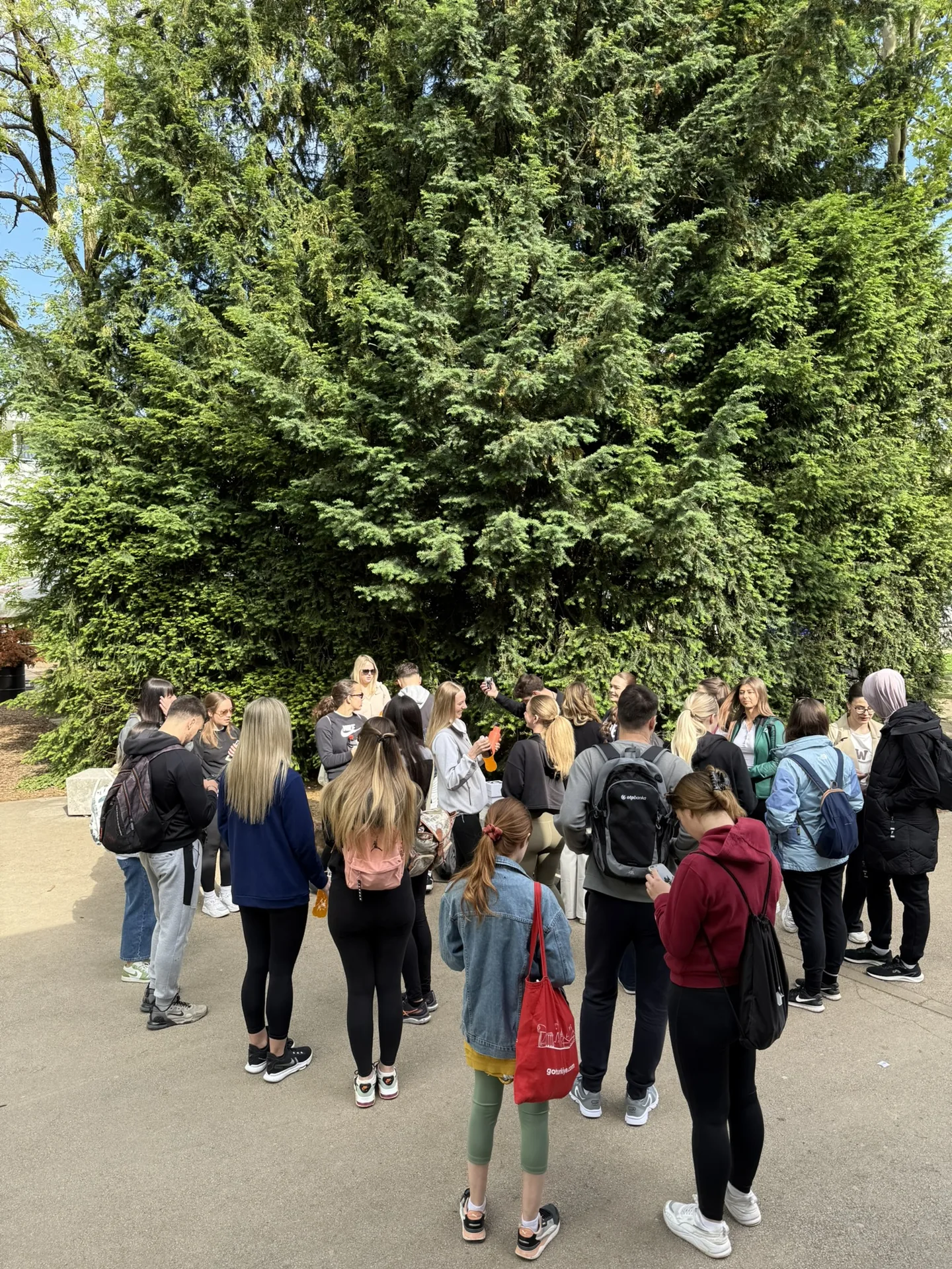 Joint Walk at the "Path Around the Wire" Event, photo 3