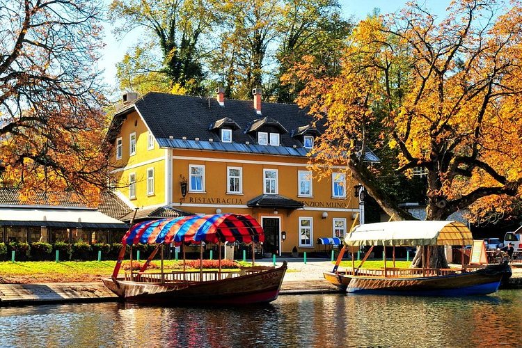 A boat on Lake Bled by the shore at Mlino